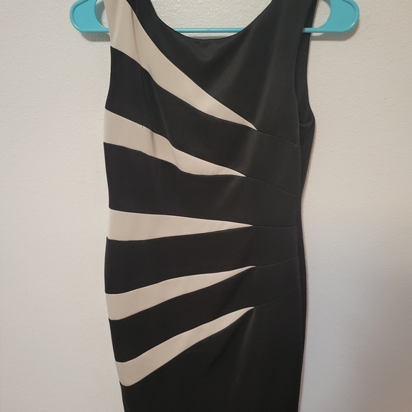 Elegant Black and Cream Sleeveless Dress - Picture 7 of 9